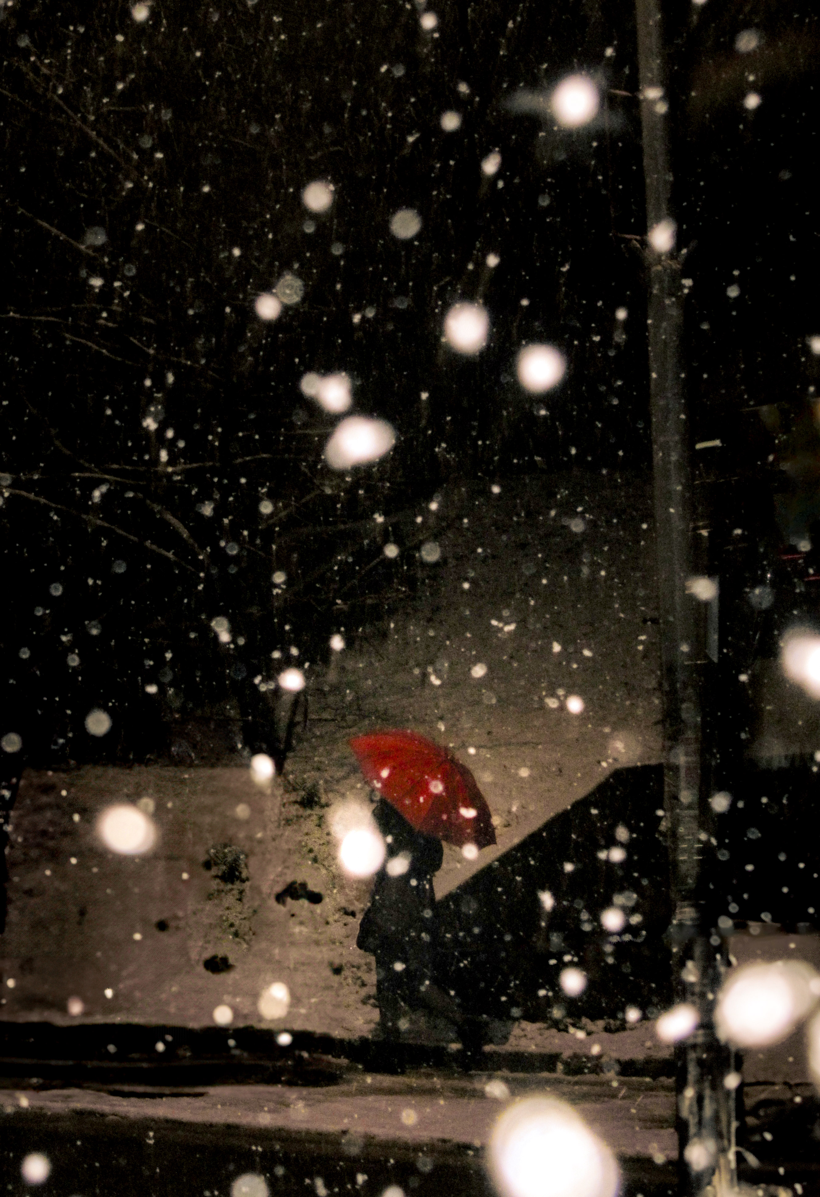 portrait photography